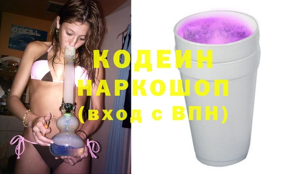 индика Абаза