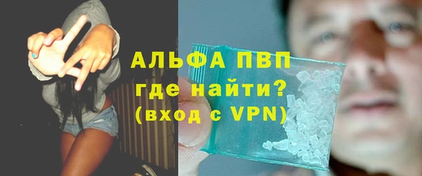 индика Абаза
