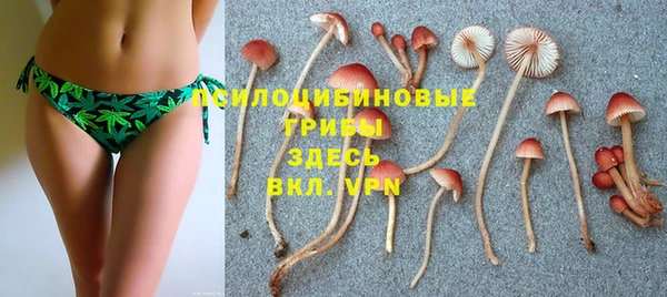 индика Абаза