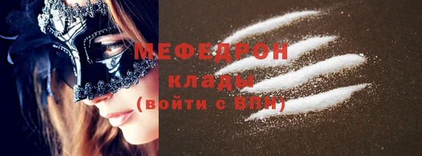 индика Абаза