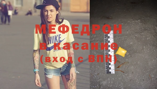индика Абаза