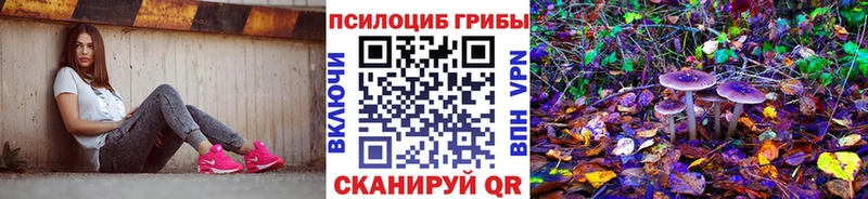 сколько стоит  Симферополь  мориарти Telegram  Галлюциногенные грибы прущие грибы 